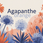 agapanthe orange jardin graphique vivaces bleues et orange
