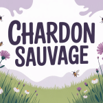 chardon sauvage dans la nature, champ, fleurs et pollinisateurs
