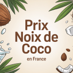 prix d une noix de coco en France illustration produits