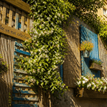 idee pour cacher un mur exterieur avec panneaux bois, bambou et plantes