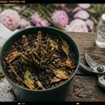 Quand tailler les pivoines : tiges rabattues et sécateur sur bois