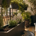 Créer un coin de verdure sur son balcon : pots, lavande et aromatiques en lumière du matin