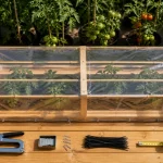 Abri tomates fait maison : toit simple pour garder le feuillage au sec