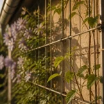 Faire grimper des plantes sur un mur : treillis en acier pour clématite