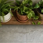 Plantes faciles pour salle de bain : fougère de Boston et pothos, faible lumière et humidité.